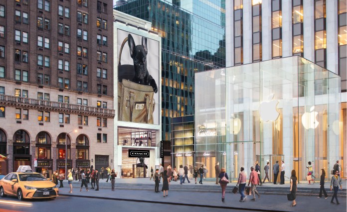 Coach 5 E 59th street Dog 2